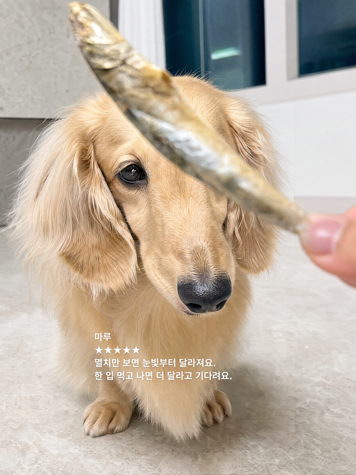 멸칩 60g