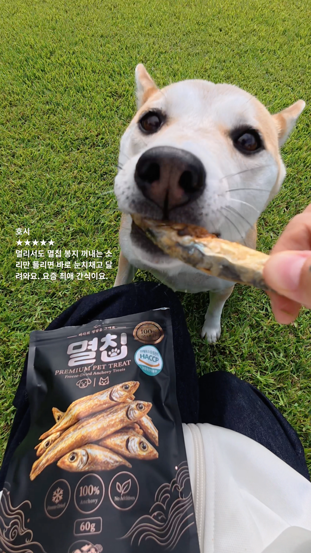 멸칩 60g